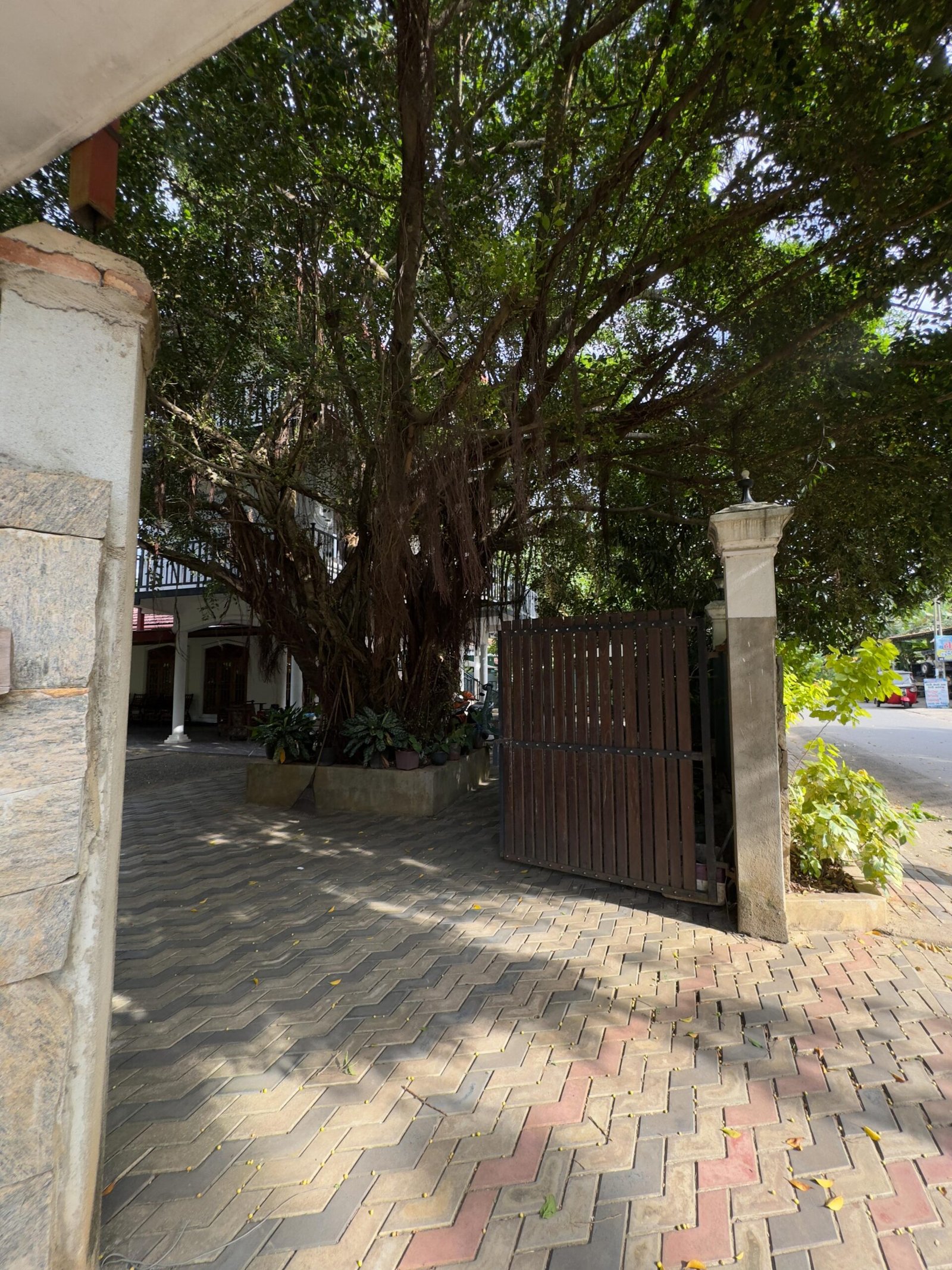 WhatsApp Image 2025-07-27 at 10.21.12